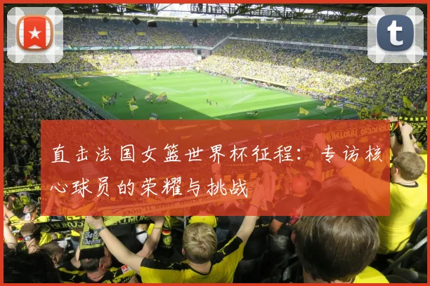 直击法国女篮世界杯征程：专访核心球员的荣耀与挑战