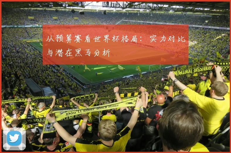 从预算赛看世界杯格局：实力对比与潜在黑马分析