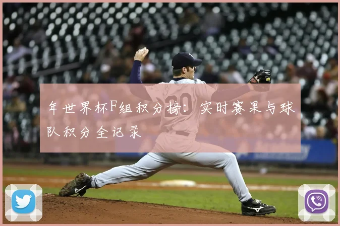 年世界杯F组积分榜:实时赛果与球队积分全记录