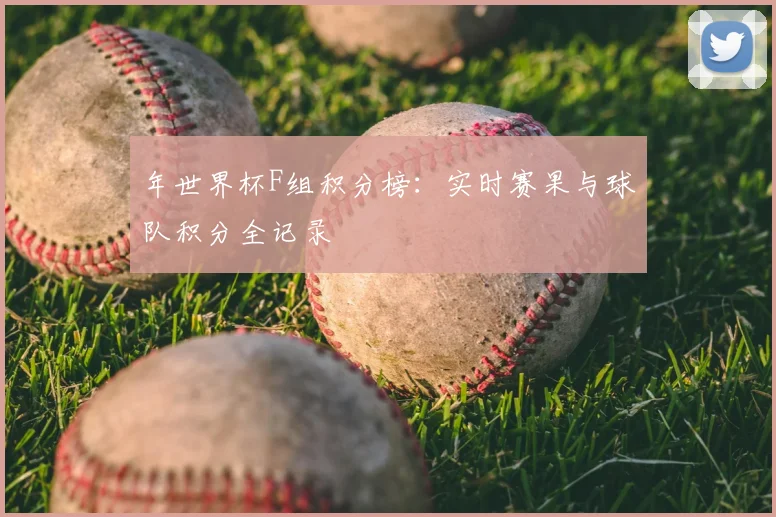 年世界杯F组积分榜:实时赛果与球队积分全记录