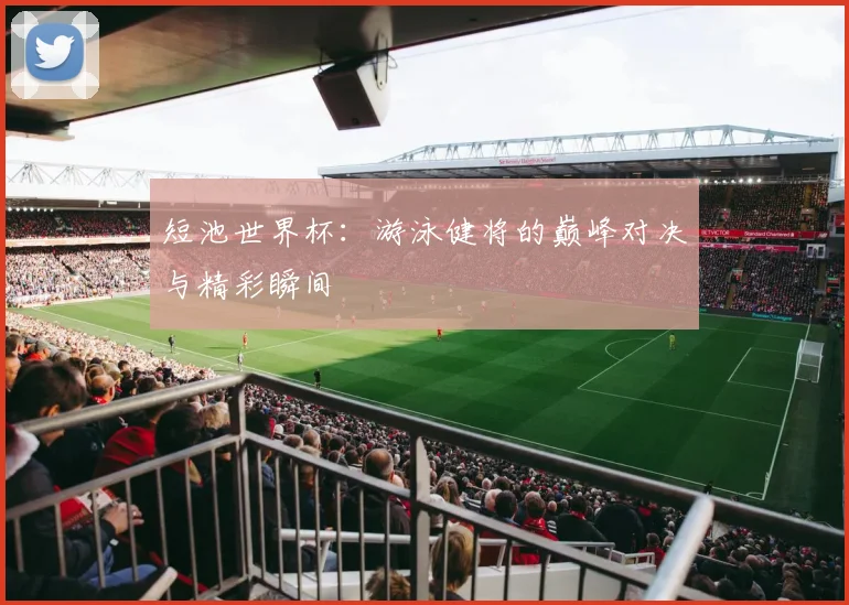 短池世界杯:游泳健将的巅峰对决与精彩瞬间