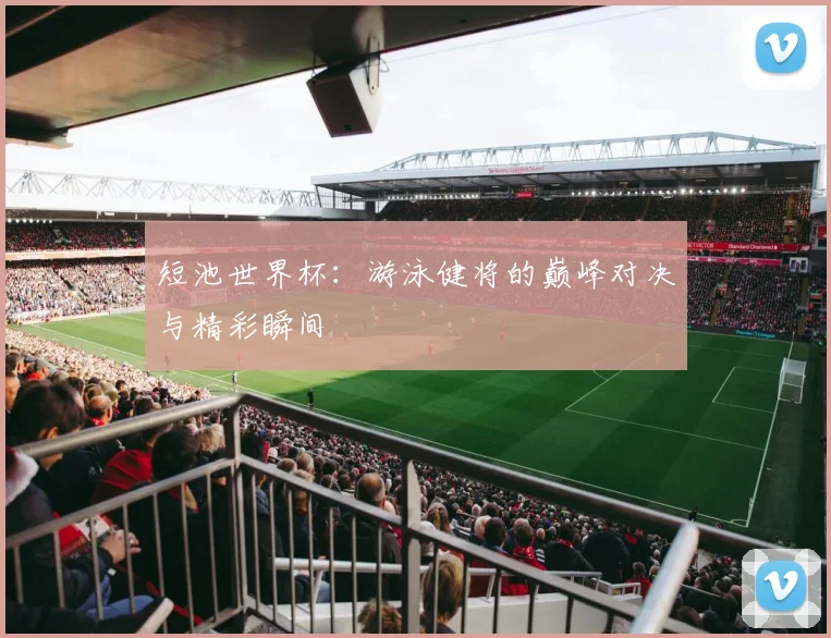 短池世界杯:游泳健将的巅峰对决与精彩瞬间